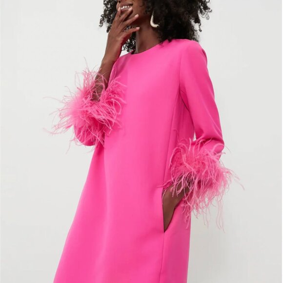 Tuckernuck Hot Pink Feather Mod Mary Dress - Picture 4 of 5
